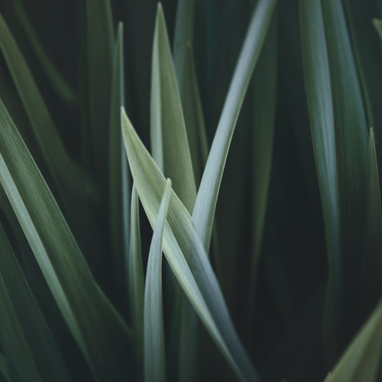 claudio-testa-FrlCwXwbwkk-unsplash