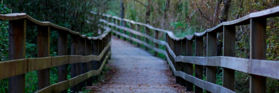 tiago-choupina-KhM-UHpvZks-unsplash